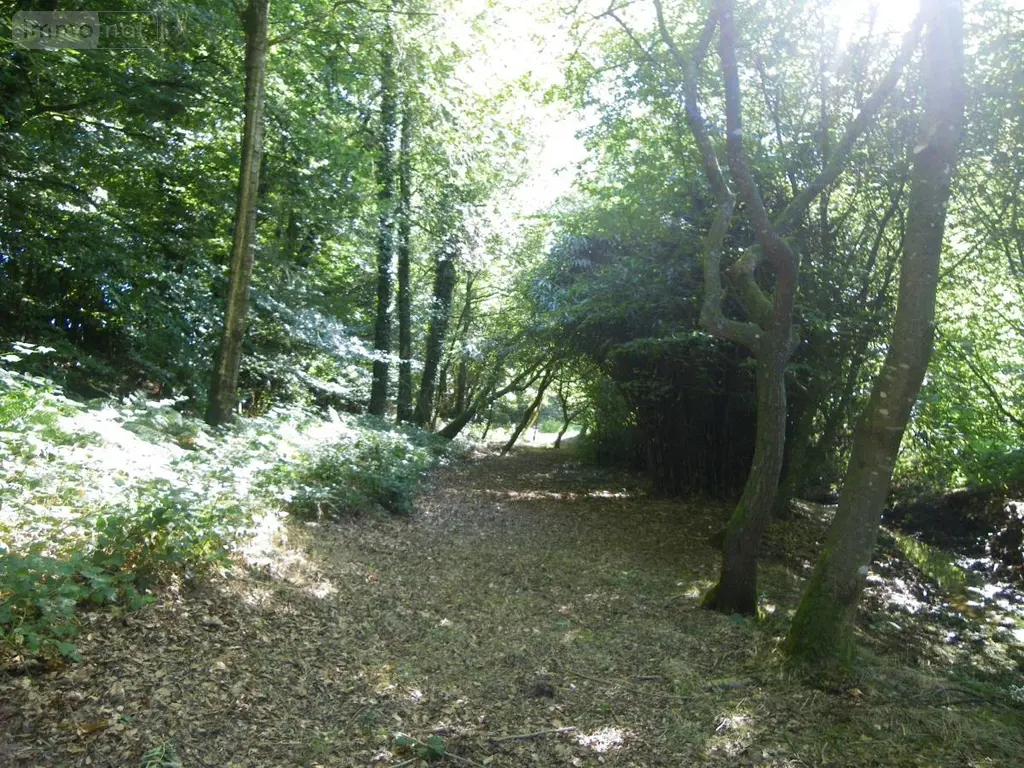 Maison a vendre Silfiac 56480 Morbihan 56 227 m2 471510 euros 56075-2245 005