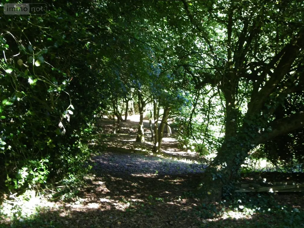 Maison a vendre Silfiac 56480 Morbihan 56 227 m2 471510 euros 56075-2245 007