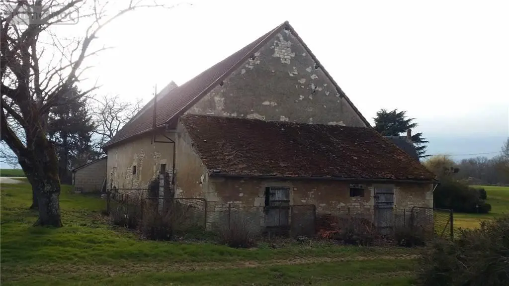 Fonds et murs commerciaux a vendre Condé 36100 Indre 36 355 m2 3 pièces 54500 euros 021/1134 004