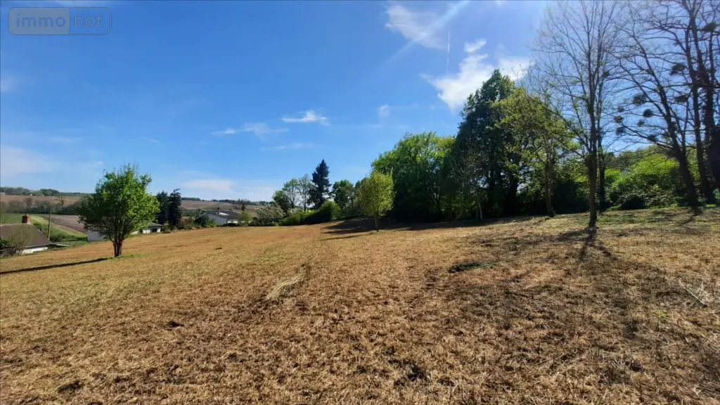 Terrain a batir a vendre Vicq-sur-Nahon 36600 Indre 36 17000 euros 021/1193 004