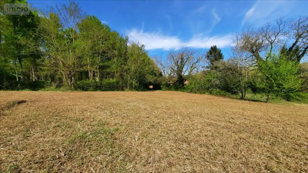 Terrain a batir a vendre Vicq-sur-Nahon 36600 Indre 36 17000 euros 021/1193 005