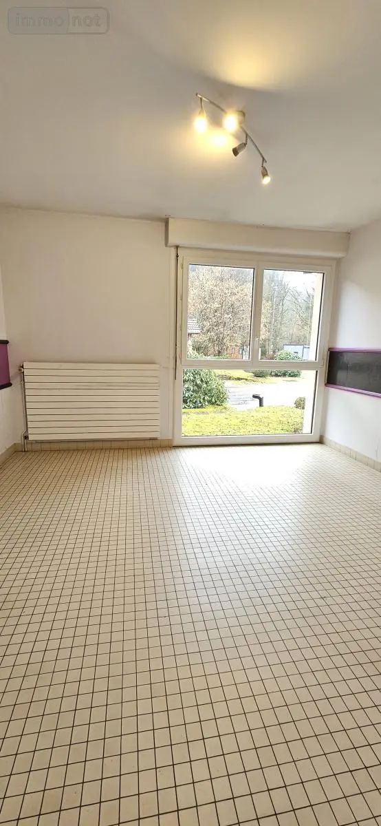 Immeuble de rapport a vendre Granges-Aumontzey 88640 Vosges 88 167 m2 136000 euros 88061-832 006