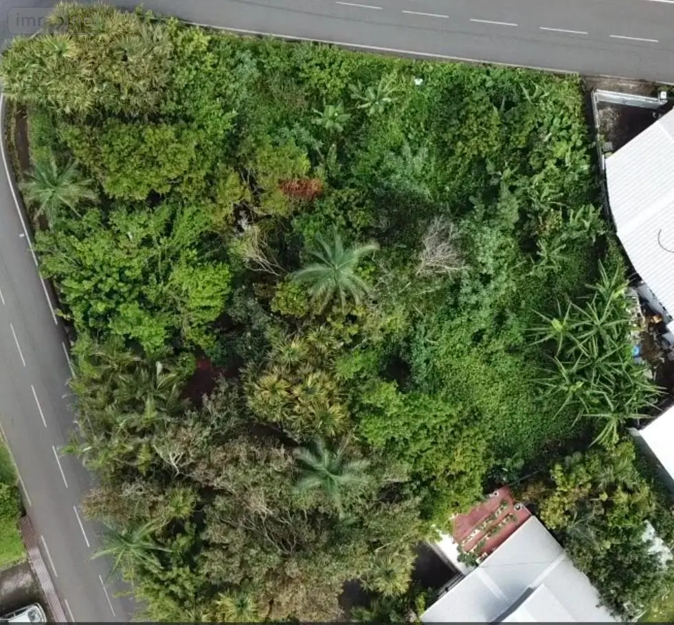 Terrain a batir a vendre Saint-Joseph 97480 La Réunion 974 151709 euros 97410-722 003