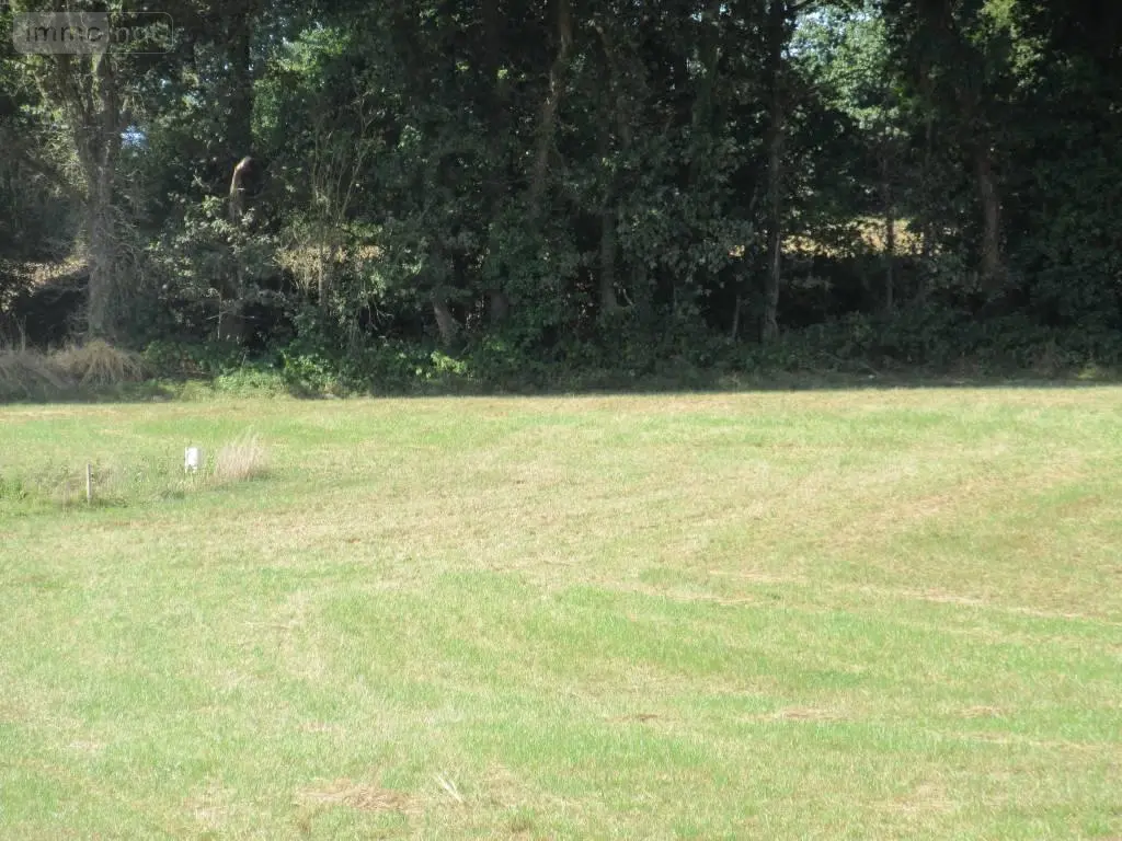 Terrain a batir a vendre Carhaix-Plouguer 29270 Finistère 29 33500 euros 29066-79727 006
