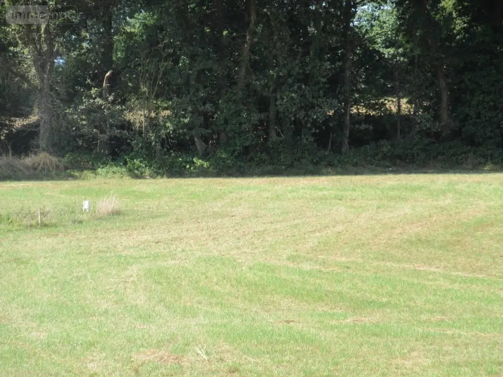 Terrain a batir a vendre Carhaix-Plouguer 29270 Finistère 29 33500 euros 29066-3725 006