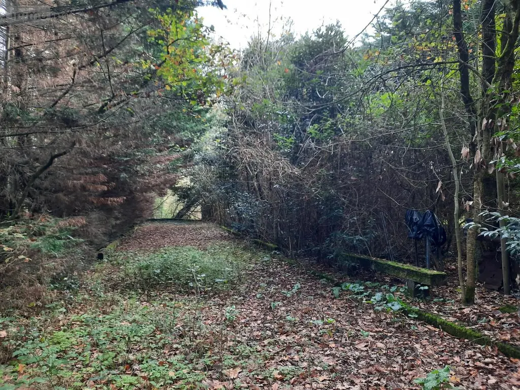 Terrains de loisirs bois etangs a vendre Aizenay 85190 Vendée 85 41280 euros 85091-5199 006