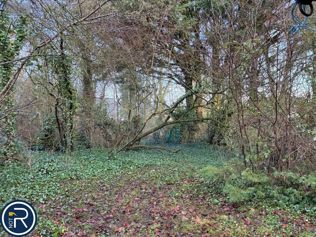 Maison a vendre Louverné 53950 Mayenne 53 124 m2 6 pièces 228800 euros 53004-1290 018