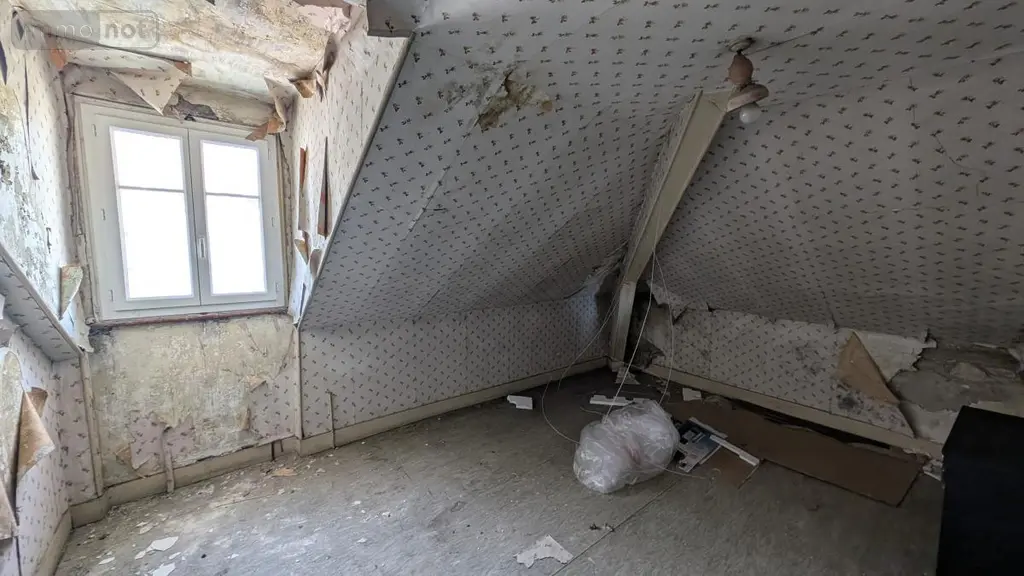 Immeuble de rapport a vendre Vichy 03200 Allier 03 588 m2 398240 euros 03019-167 048