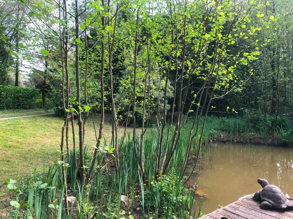 Maison a vendre La Haye 50250 Manche 50 151 m2 6 pièces 367745 euros 50061-2952 018