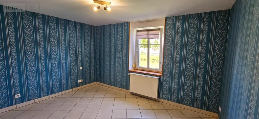 Maison a vendre Raon-l'Étape 88110 Vosges 88 104 m2 5 pièces 80000 euros 88061-884 006