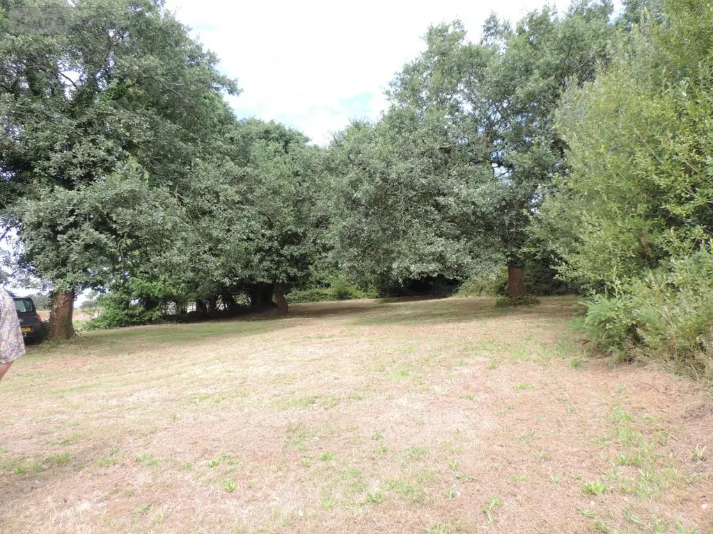Maison a vendre La Chapelle-Neuve 22160 Côtes-d'Armor 22 115 m2 6 pièces 125700 euros 22069-1882 019