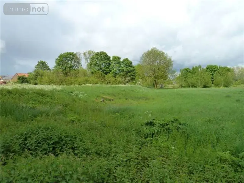 Terrain a batir a vendre Séranvillers-Forenville 59400 Nord 59 49320 euros 59083-1771 002