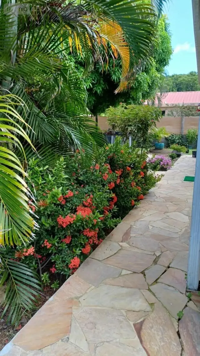 Maison a vendre Le Vauclin 97280 Martinique 972 124 m2 294000 euros 97204-406 013