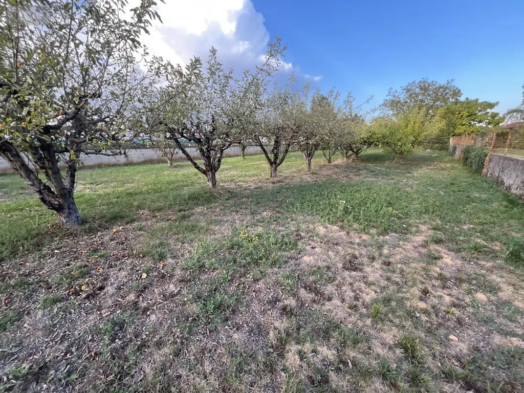Terrain a batir a vendre Saint-Maurice-de-Gourdans 01800 Ain 01 155000 euros 01067-997 001