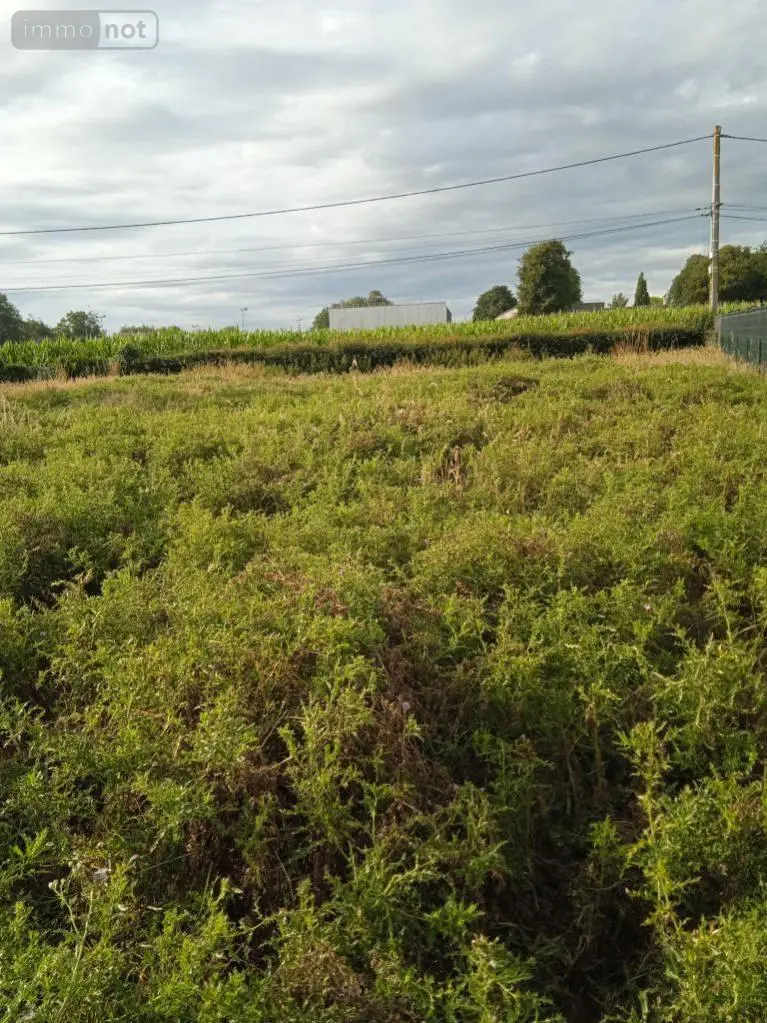 Terrain a batir a vendre Offranville 76550 Seine-Maritime 76 92400 euros 76046-313 003