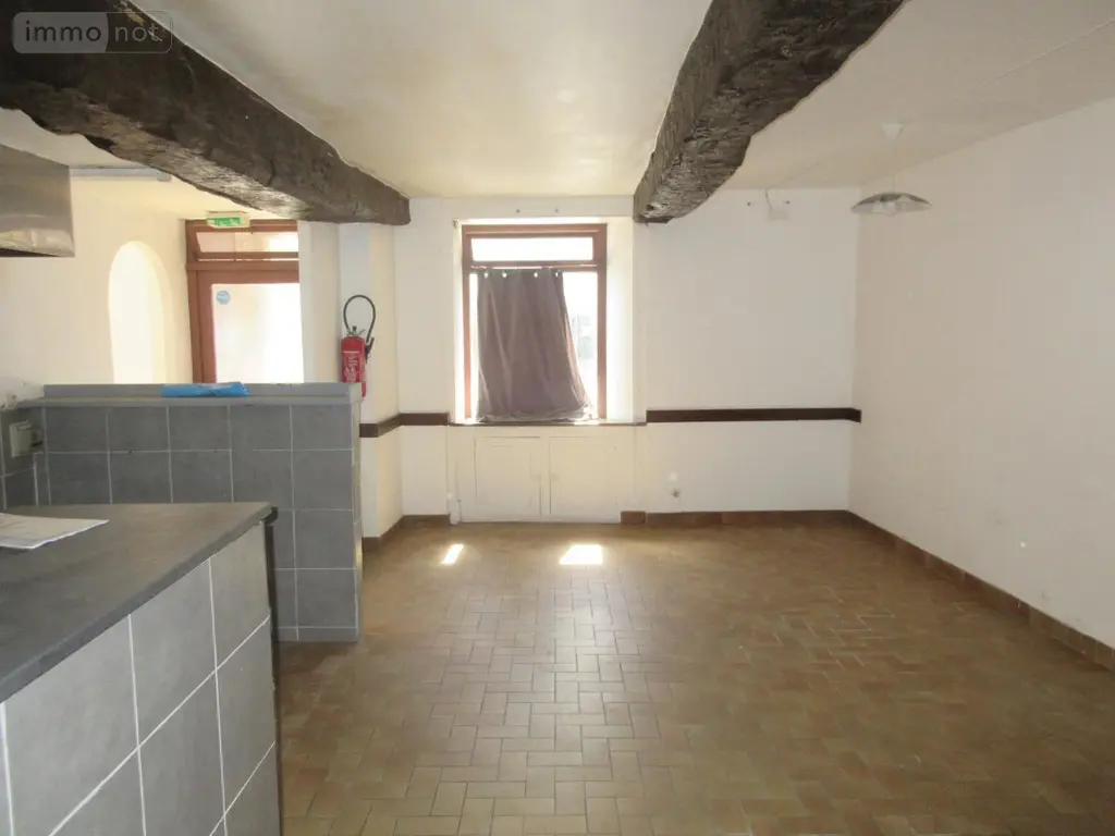 Immeuble de rapport a vendre Locminé 56500 Morbihan 56 160 m2 99860 euros 56077-967 008