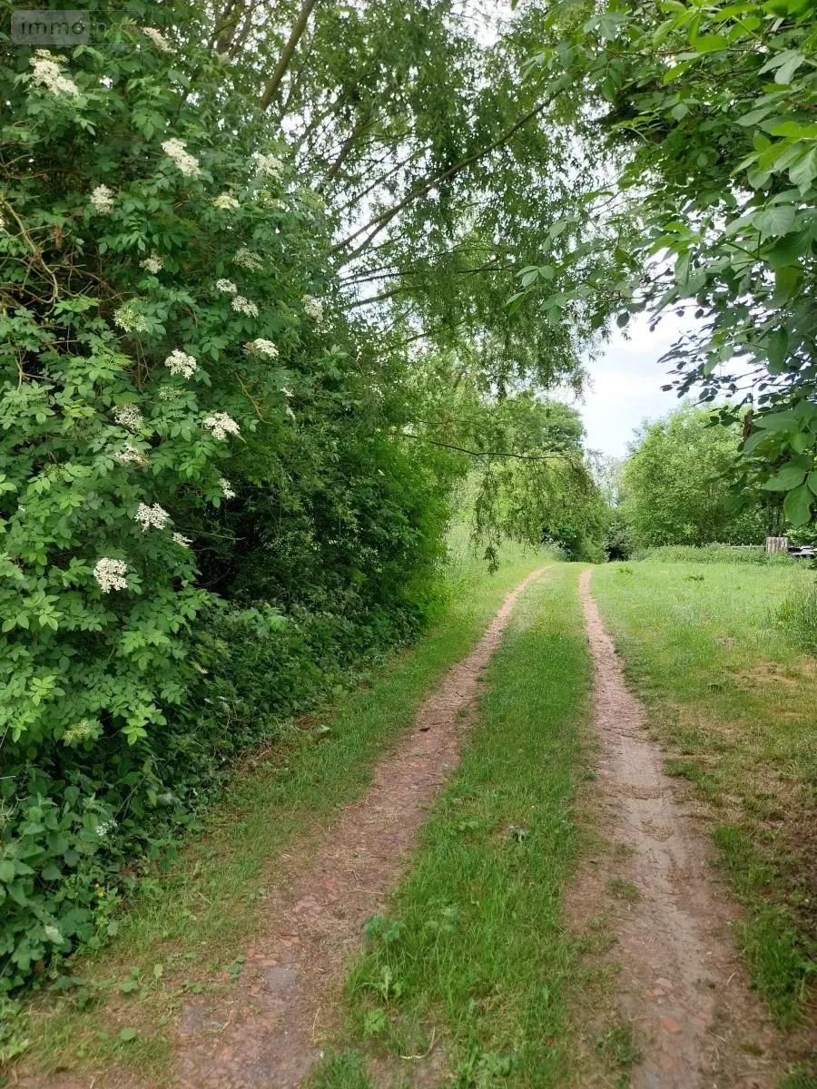 Terrain a batir a vendre Agnez-lès-Duisans 62161 Pas-de-Calais 62 125000 euros 62113-1199 002