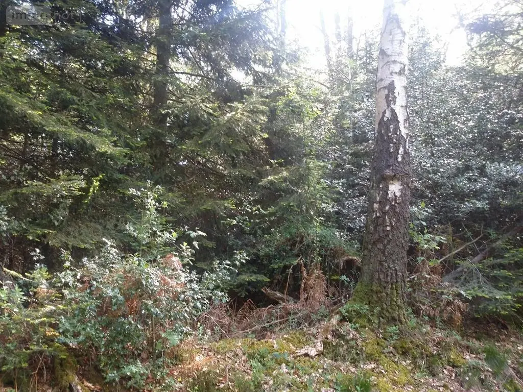 Terrains de loisirs bois etangs a vendre La Folletière-Abenon 14290 Calvados 14 6500 euros 14058-1510 002