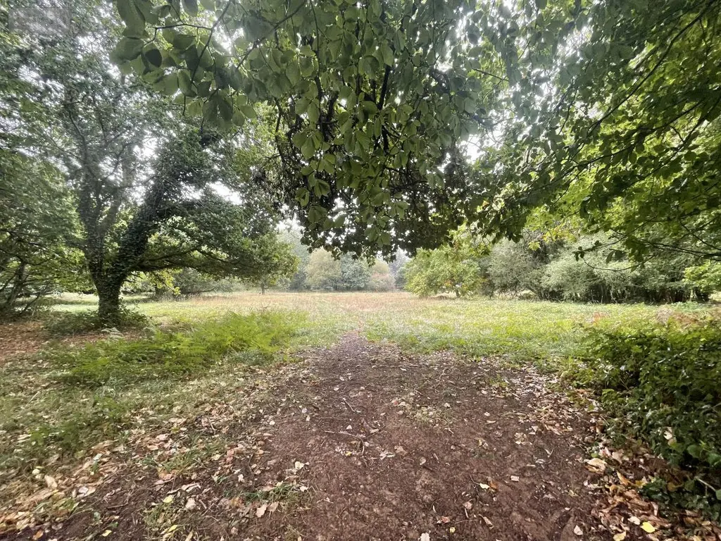 Terrains de loisirs bois etangs a vendre Le Faouët 56320 Morbihan 56 20600 euros 56081-2679 004