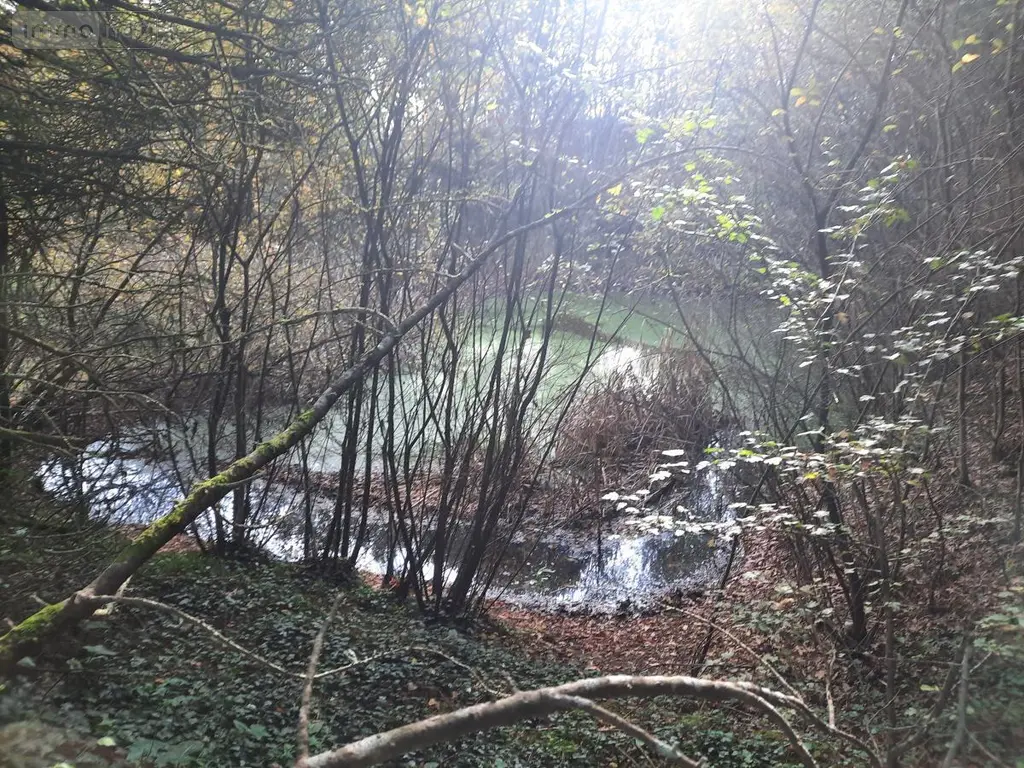 Terrains de loisirs bois etangs a vendre Aizenay 85190 Vendée 85 41280 euros 85091-5199 002