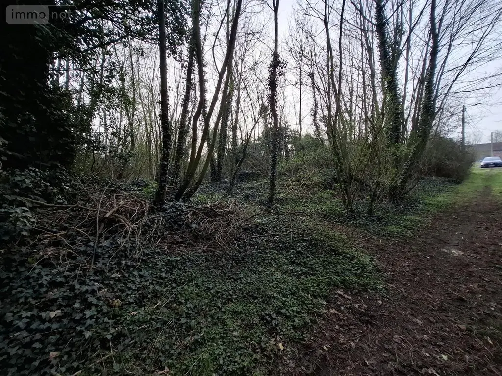 Terrains de loisirs bois etangs a vendre Ames 62190 Pas-de-Calais 62 28000 euros 62050-1772 005