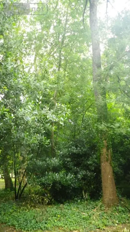 Terrain a batir a vendre Sainte-Flaive-des-Loups 85150 Vendée 85 110150 euros 85072-1077 002