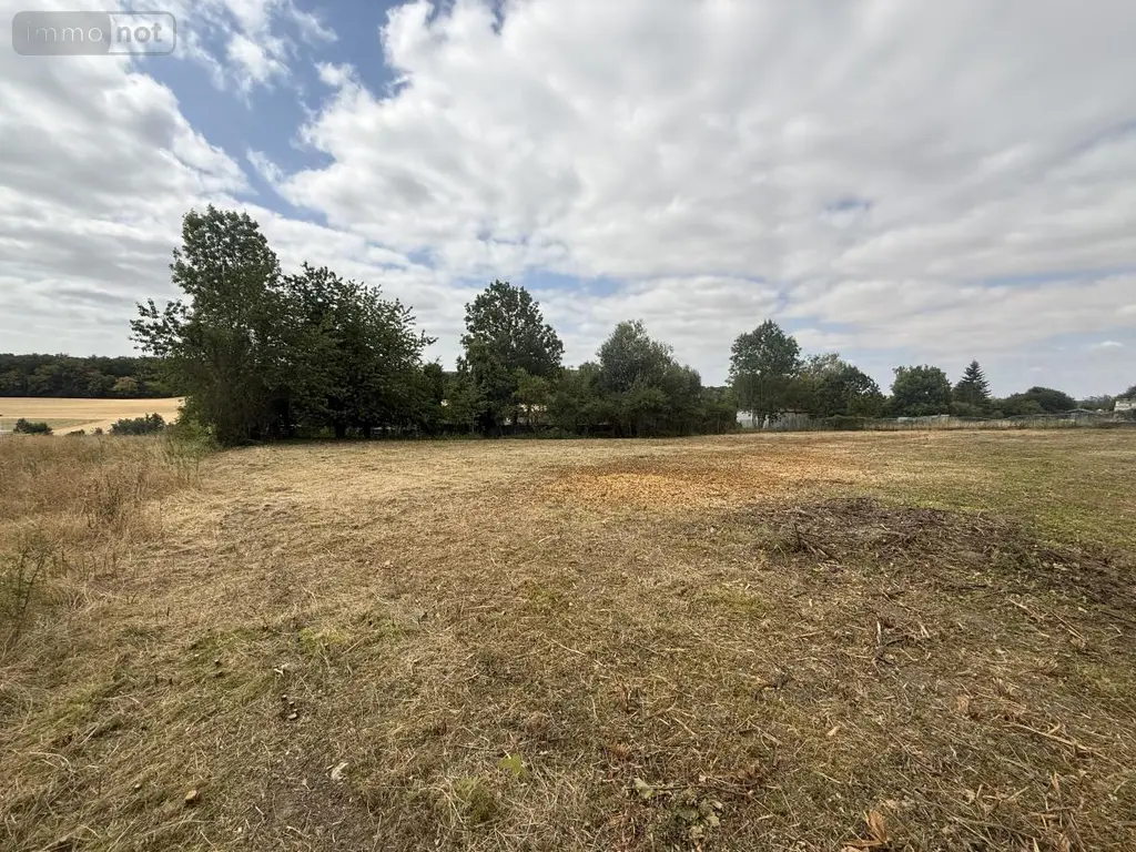 Terrain a batir a vendre Saint-Euphraise-et-Clairizet 51390 Marne 51 95000 euros 51066-1868 022