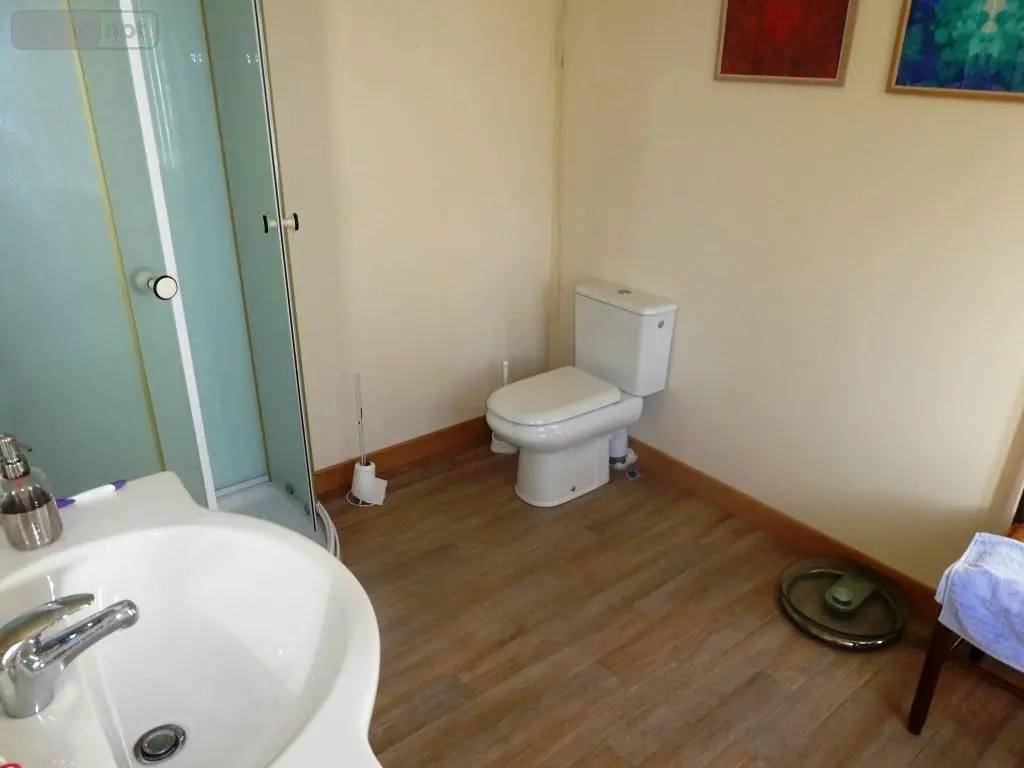 Maison a vendre Langoëlan 56160 Morbihan 56 280 m2 10 pièces 367000 euros 56075-2346 034