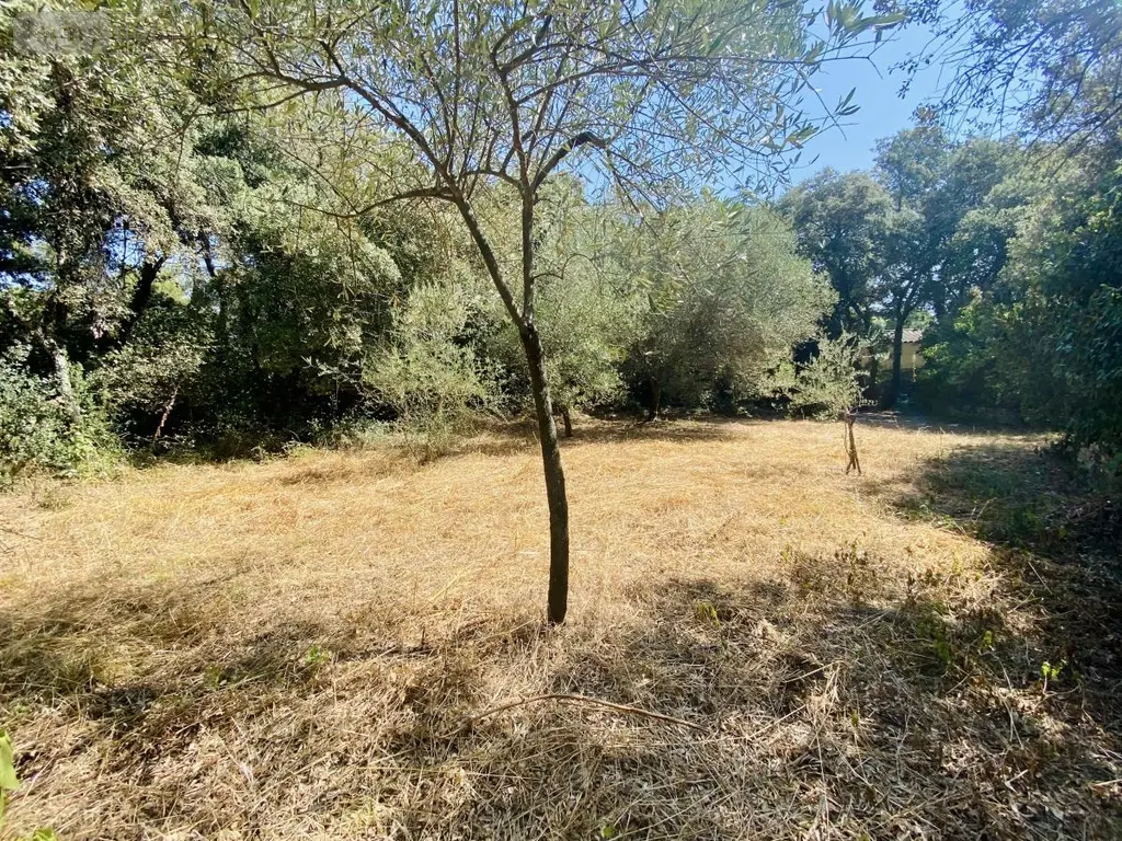 Terrain a batir a vendre Castries 34160 Hérault 34 359850 euros 34012-713 002