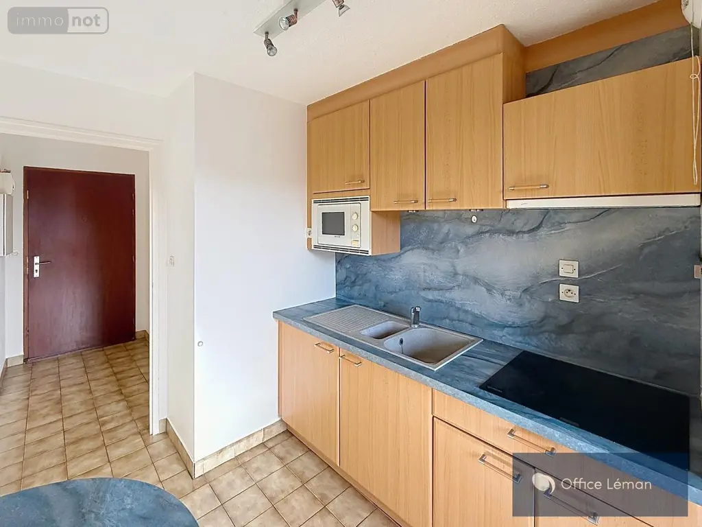 Appartement a vendre Gex 01170 Ain 01 45 m2 2 pièces 225000 euros 01047-879 007