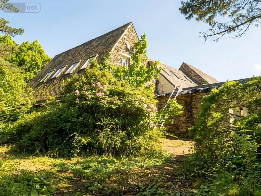Immeuble de rapport a vendre Plounéour-Ménez 29410 Finistère 29 637 m2 255000 euros 29107-2754 003