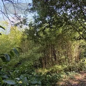 Maison a vendre Candé 49440 Maine-et-Loire 49 259 m2 9 pièces 280800 euros 49095-1665 014