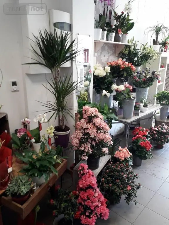 Fonds et murs commerciaux a vendre Lessay 50430 Manche 50 1 m2 2 pièces 26800 euros 50061-348261 003