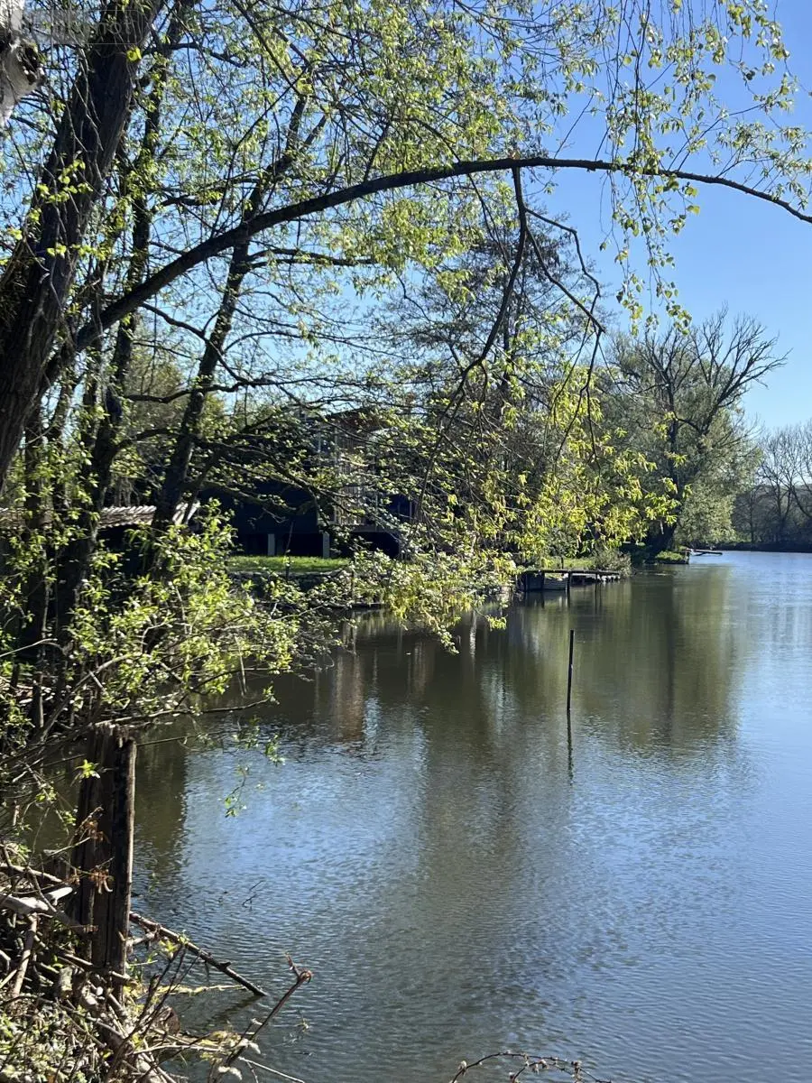 Terrains de loisirs bois etangs a vendre Pezou 41100 Loir-et-Cher 41 8000 euros 41029-51 002