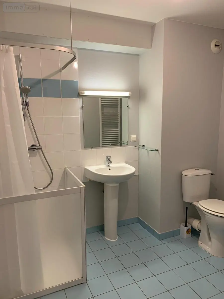 Appartement a vendre Château-Gontier-sur-Mayenne 53200 Mayenne 53 31 m2 2 pièces 56250 euros 100054602-53088 004