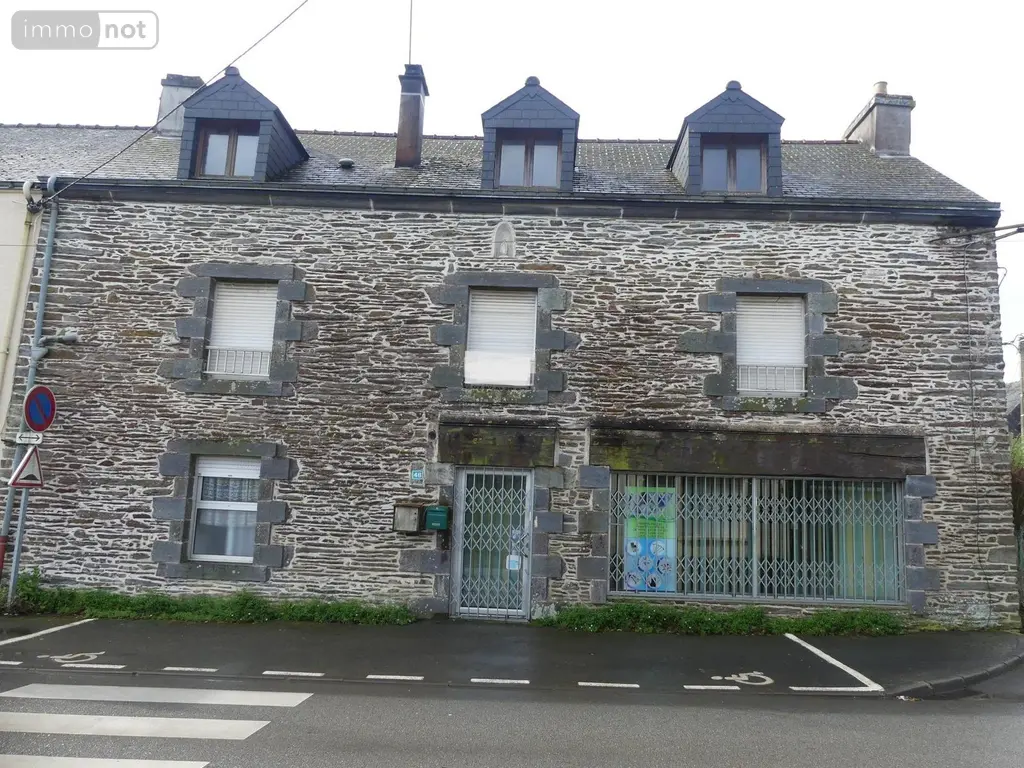 Immeuble de rapport a vendre Saint-Martin-sur-Oust 56200 Morbihan 56 165 m2 142965 euros 35066-775-35066 001
