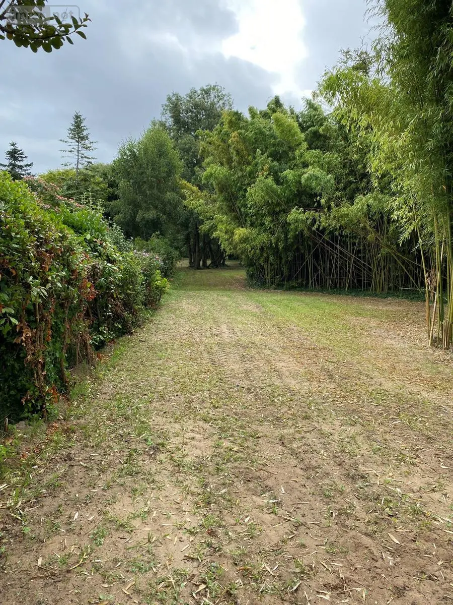 Terrain a batir a vendre Notre-Dame-de-Monts 85690 Vendée 85 116300 euros 092/T/2317-85092 002