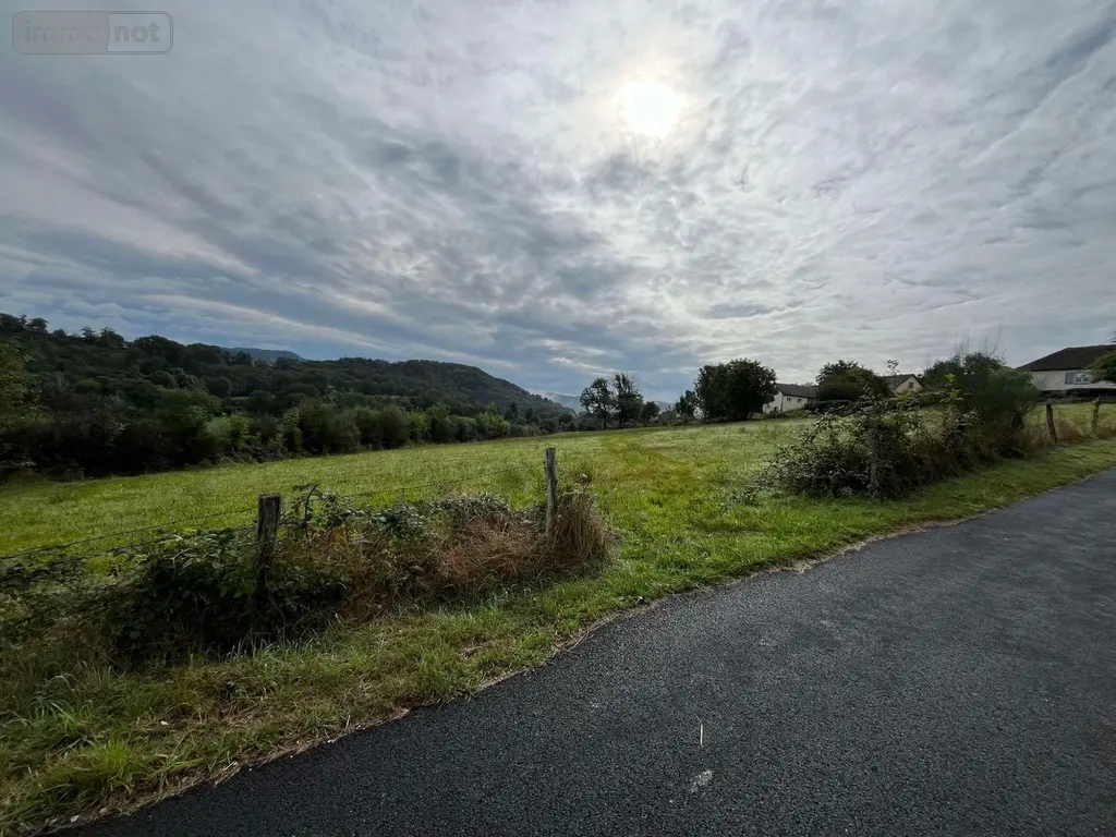 Terrain a batir a vendre Vebret 15240 Cantal 15 31800 euros 55T-15029 006