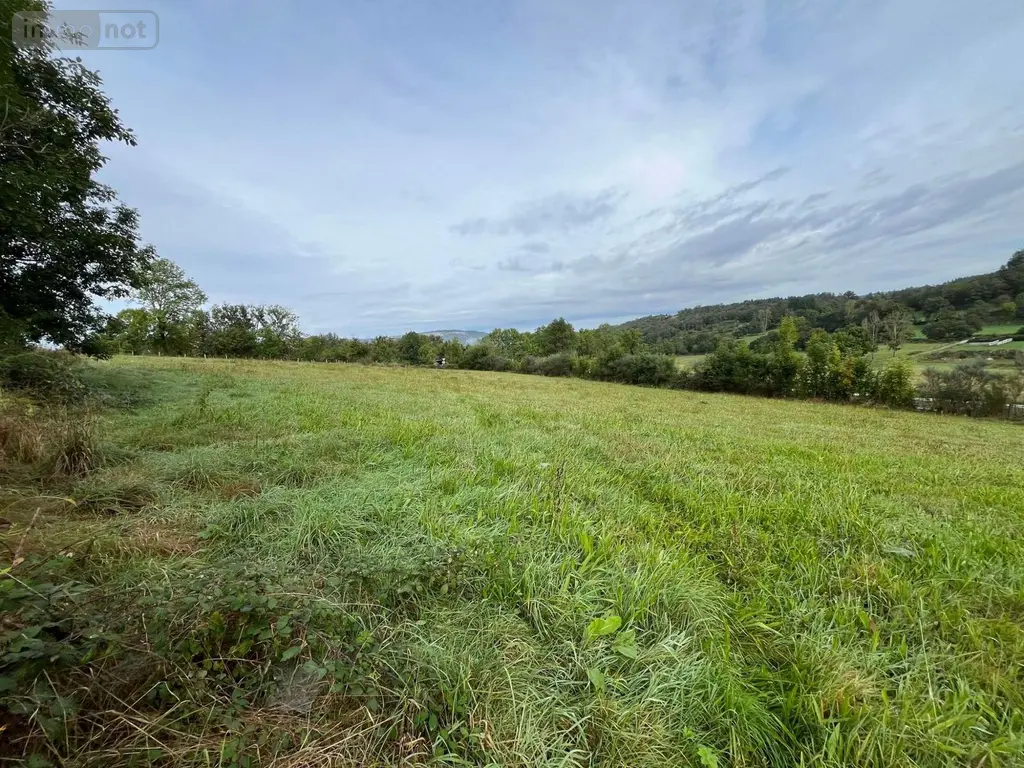 Terrain a batir a vendre Vebret 15240 Cantal 15 31800 euros 55T-15029 004