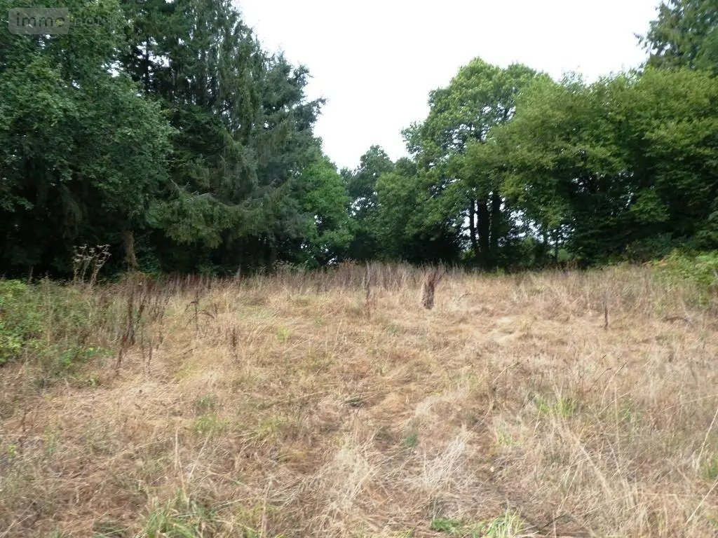 Maison a vendre Ploërdut 56160 Morbihan 56 85 m2 37300 euros 56075-2528 009