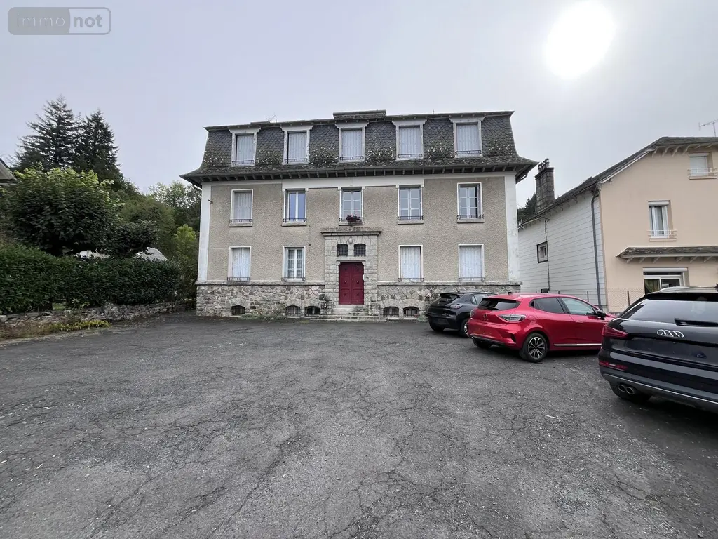 Appartement a vendre Condat 15190 Cantal 15 42 m2 2 pièces 29600 euros 90T-15029 001