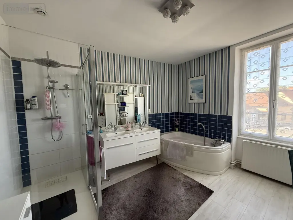 Maison a vendre Escurolles 03110 Allier 03 159 m2 7 pièces 275000 euros 2025/974-03020 015