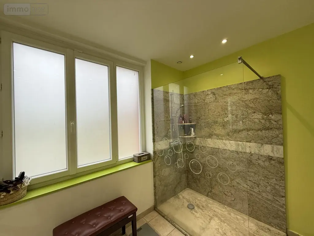 Maison a vendre Vendat 03110 Allier 03 174 m2 5 pièces 436000 euros 2025/987-03020 016