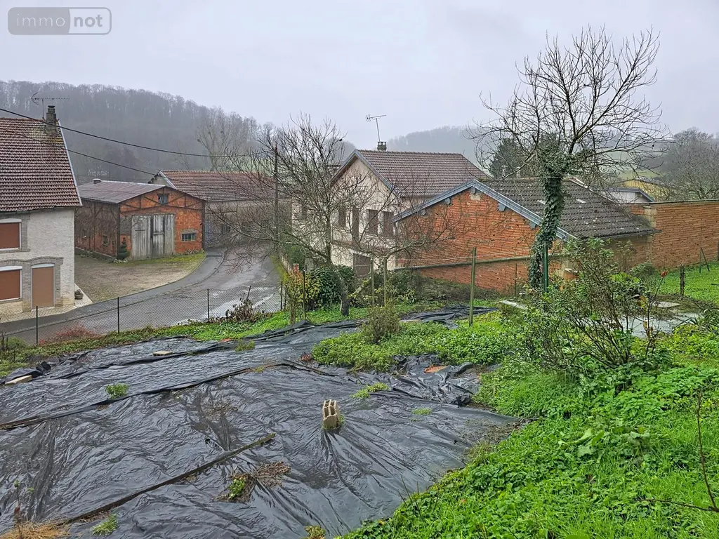 Maison a vendre Val-de-Meuse 52140 Haute-Marne 52 101 m2 3 pièces 45000 euros VM1120-52001 002