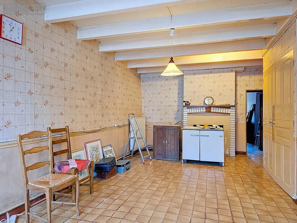 Maison a vendre Val-de-Meuse 52140 Haute-Marne 52 101 m2 3 pièces 45000 euros VM1120-52001 003