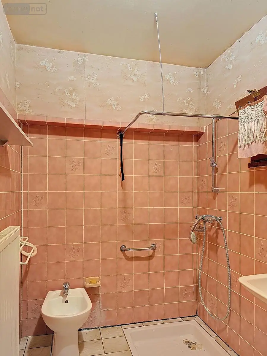 Maison a vendre Val-de-Meuse 52140 Haute-Marne 52 101 m2 3 pièces 45000 euros VM1120-52001 006