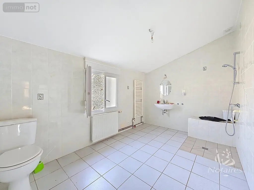 Maison a vendre Richebourg 52120 Haute-Marne 52 149 m2 4 pièces 68000 euros VM1181-52001 010