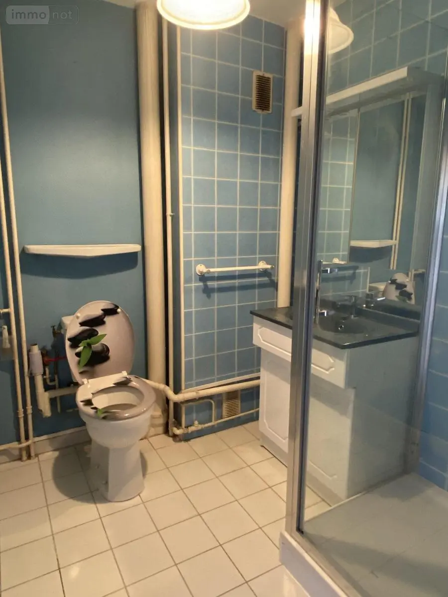 Appartement a vendre Faches-Thumesnil 59155 Nord 59 35 m2 2 pièces 80400 euros VA3526-59019 005