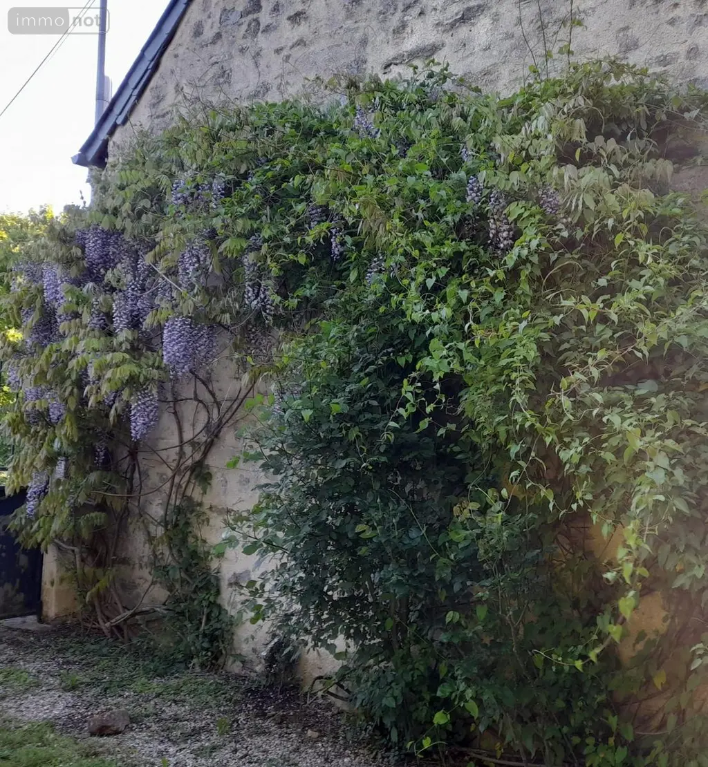Maison a vendre Bouère 53290 Mayenne 53 202 m2 9 pièces 419725 euros 100213601-53088 006