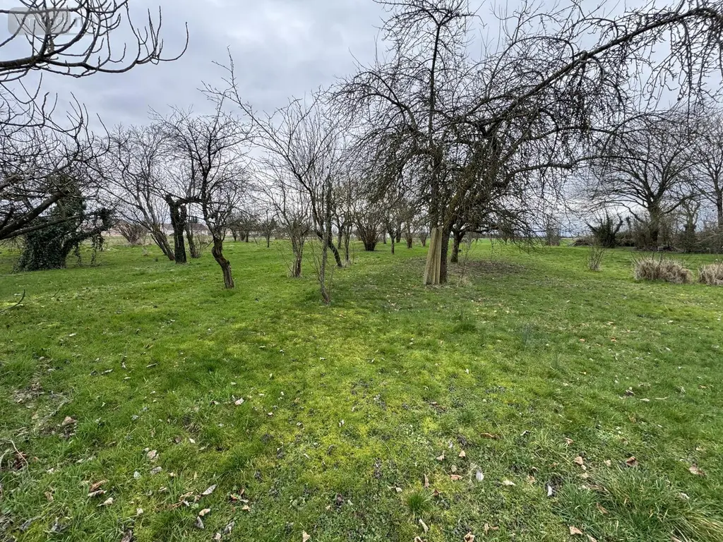 Maison a vendre Saint-Aubin 39410 Jura 39 70 m2 4 pièces 162000 euros VM3699-39032 005